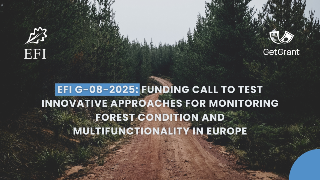 EFI G-08-2025: funding call to test innovative approaches for monitoring forest condition and multifunctionality in Europe
